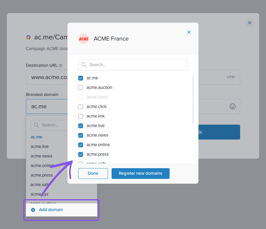 add-domain-link-detail.png